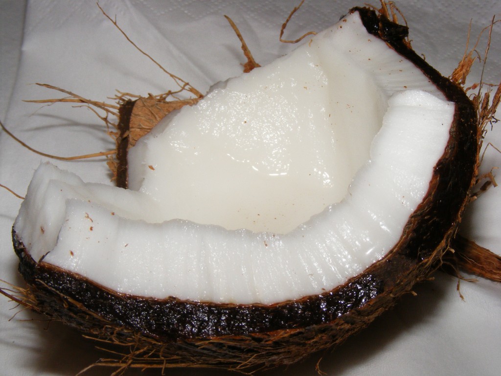 Public domain image of a coconut