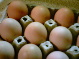brown eggs from the Wittekind homestead