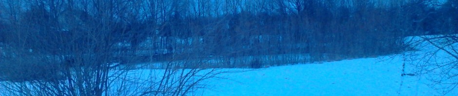 winter scene at the Wittekind homestead