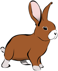 cartoon brown bunny